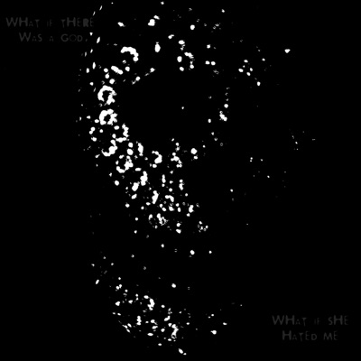 W4NT3D