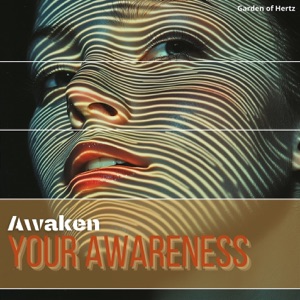Transcend the Noise, Awaken Your Awareness