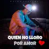 Elias Ayaviri - Quien no lloro por Amor