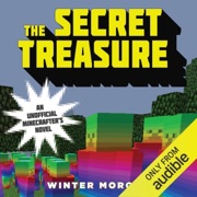 The Secret Treasure (Unabridged) - Winter Morgan