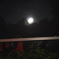 encore? - Single - Lio21