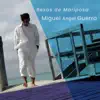Miguel Angel Guerra - Besos de Mariposa