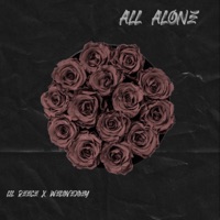 ALL ALONE!! (feat. Welovejoey) - Single - Lil Reece
