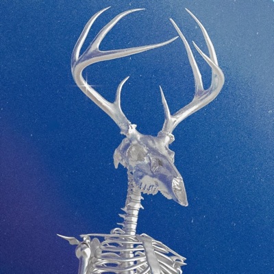 cant4get (feat. Ardnt) - Single