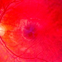 Nothing Like I Feel - Single - DUKE.