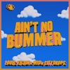 Ain't No Bummer - Single