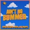 Ain't No Bummer - Louis Vision, MIO & Citydrops lyrics