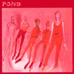 Pond - Terrestrials