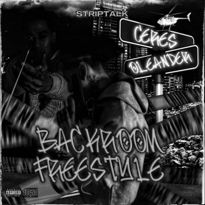 Backroom Freestyle - Single