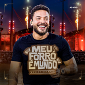 Brincar de Amar (Ao Vivo) song art