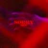 Sorry Not Sorry