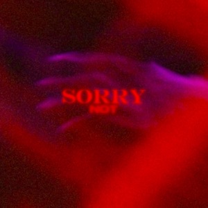 Sorry Not Sorry - Single