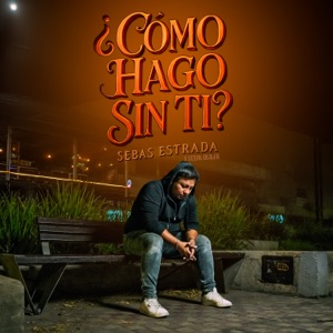 ¿Cómo Hago Sin Ti?