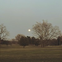 IF A REFUND IS WISHED TO BE HAD PLEASE CONTACT THE SELLER. - Single - Ghostshaft