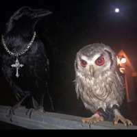 relax (feat. c5) - Single - Walkdowndre