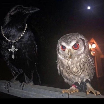 relax (feat. c5) - Single