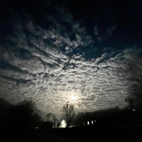 i need flowers - Single - kiri