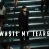 Waste My Tears
