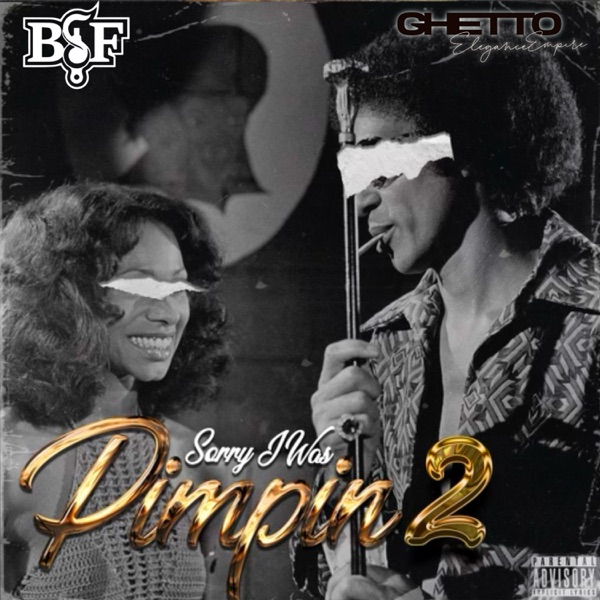 Sorry I Was Pimpin' 2 - EP