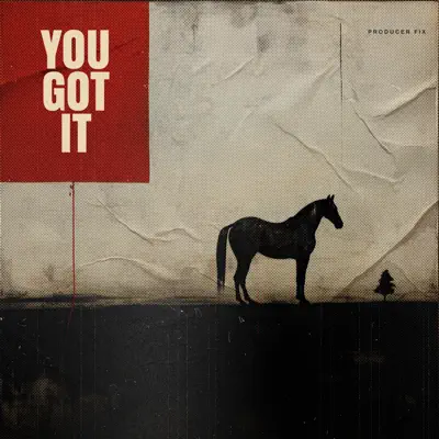 Listen to You Got It by Producer Fix