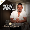 MSHINWEMALI - Ncono Siyeke (feat. Shenge wasehlalankosi) artwork
