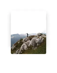 Listen to Panzer, watch music videos, read bio, see tour dates & more!