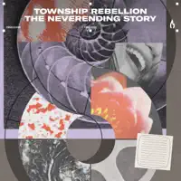 Mockingbird — TOWNSHIP REBELLION