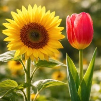 Contigo en el Dolor - Single - Gisselle