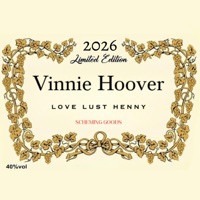 The Fool (feat. Filfy Tarantino) - Single - Vinnie Hoover