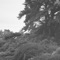 Player Piano - Christian Barnett lyrics