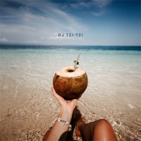 Tropical Feel Good Vibes - DJ Tzi-tzi