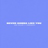 NEVER GONNA LIKE YOU - Single