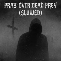 Pray Over Dead Prey (SLOWED RMX) - Single - COSMOS5D