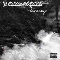 Larceny - Single - BlizzyNoKizzy