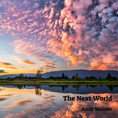 The Next World - Single