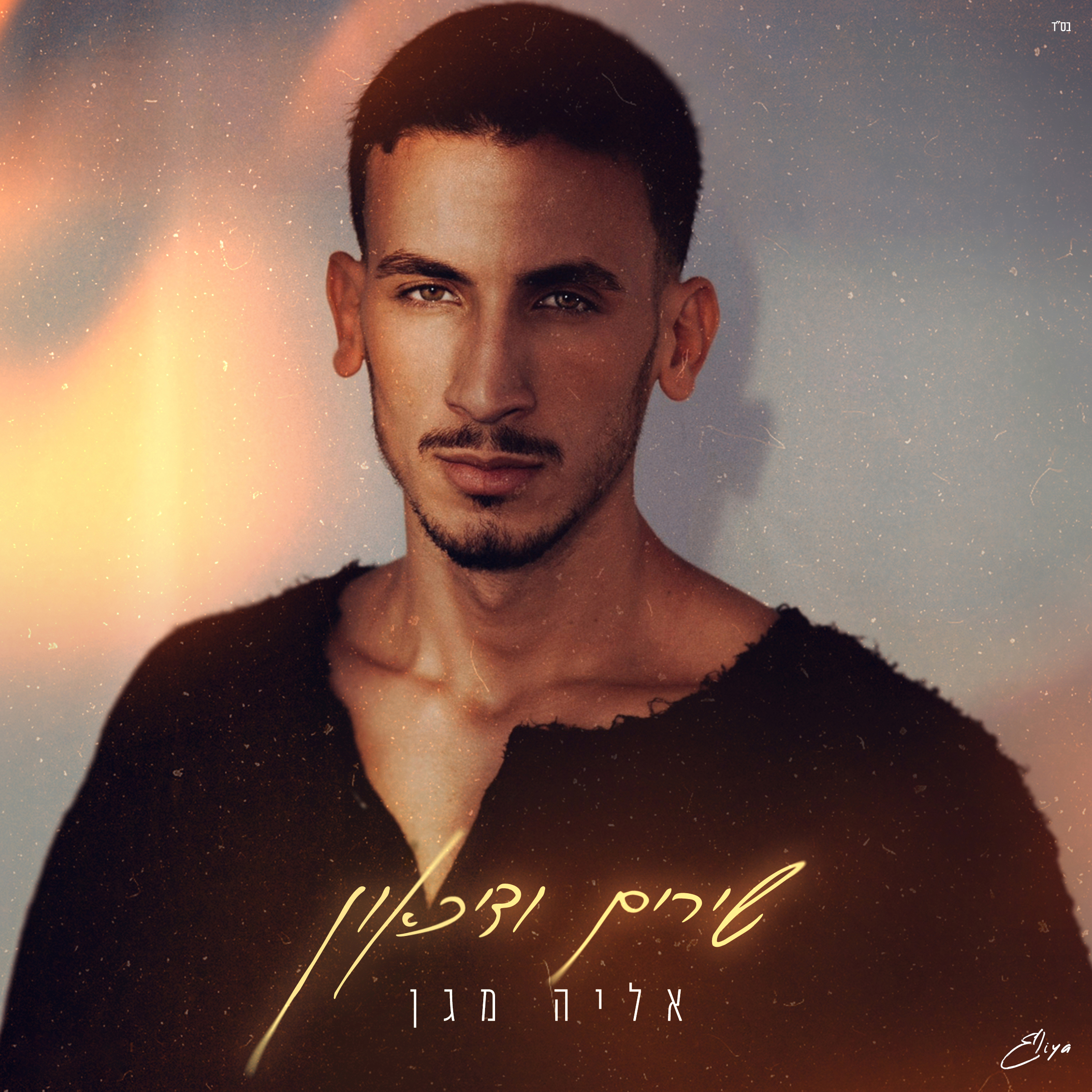 שירים ודיכאון - Single