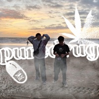 Puredrug - Single - Fachuu