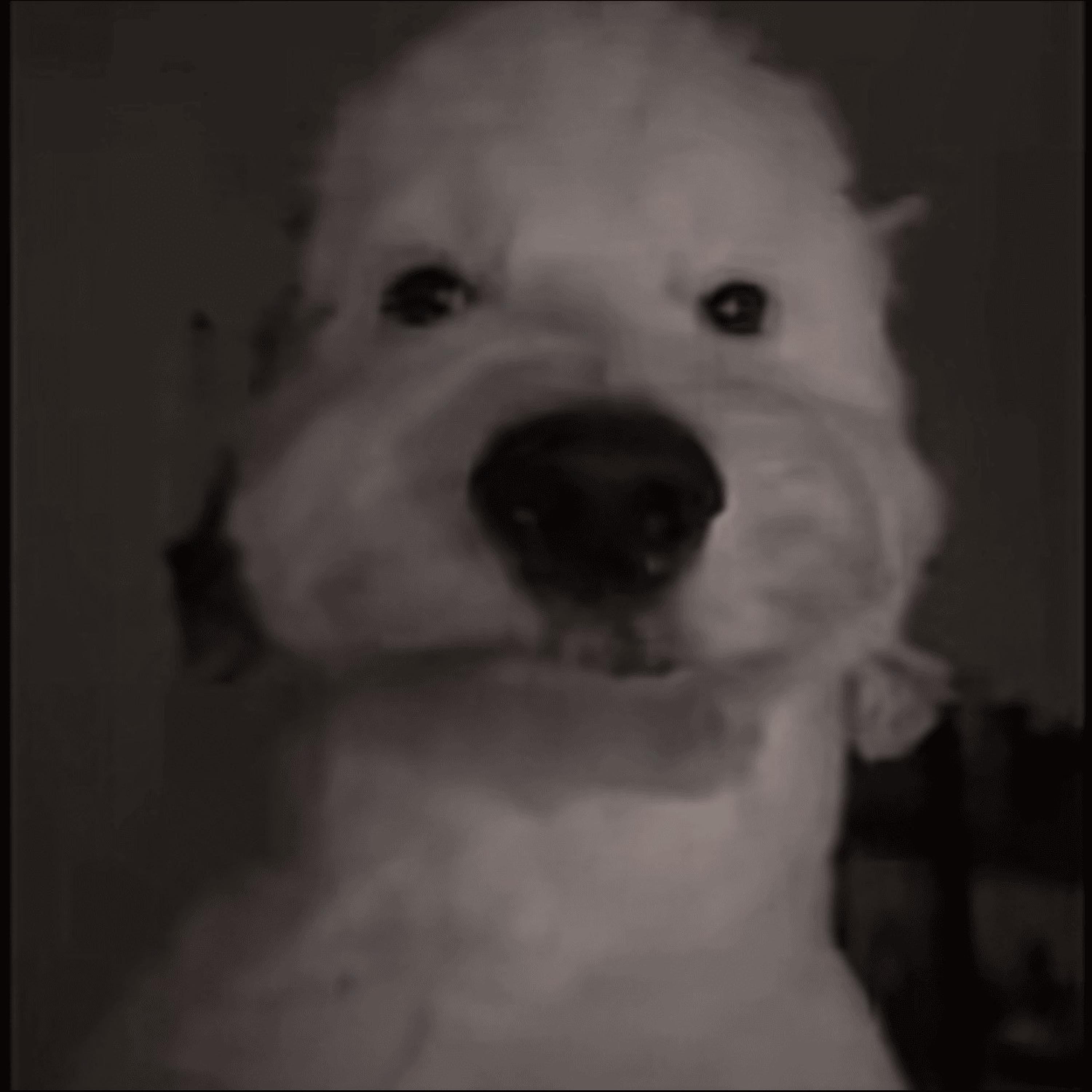 connections - Single