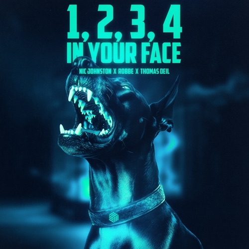 1, 2, 3, 4 (In Your Face) [Extended Mix] - Single