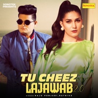Tu Cheez Lajawab 2.0 - Single - Raju Punjabi & Ratrixx Music