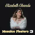 Mosaico Fiestero 3