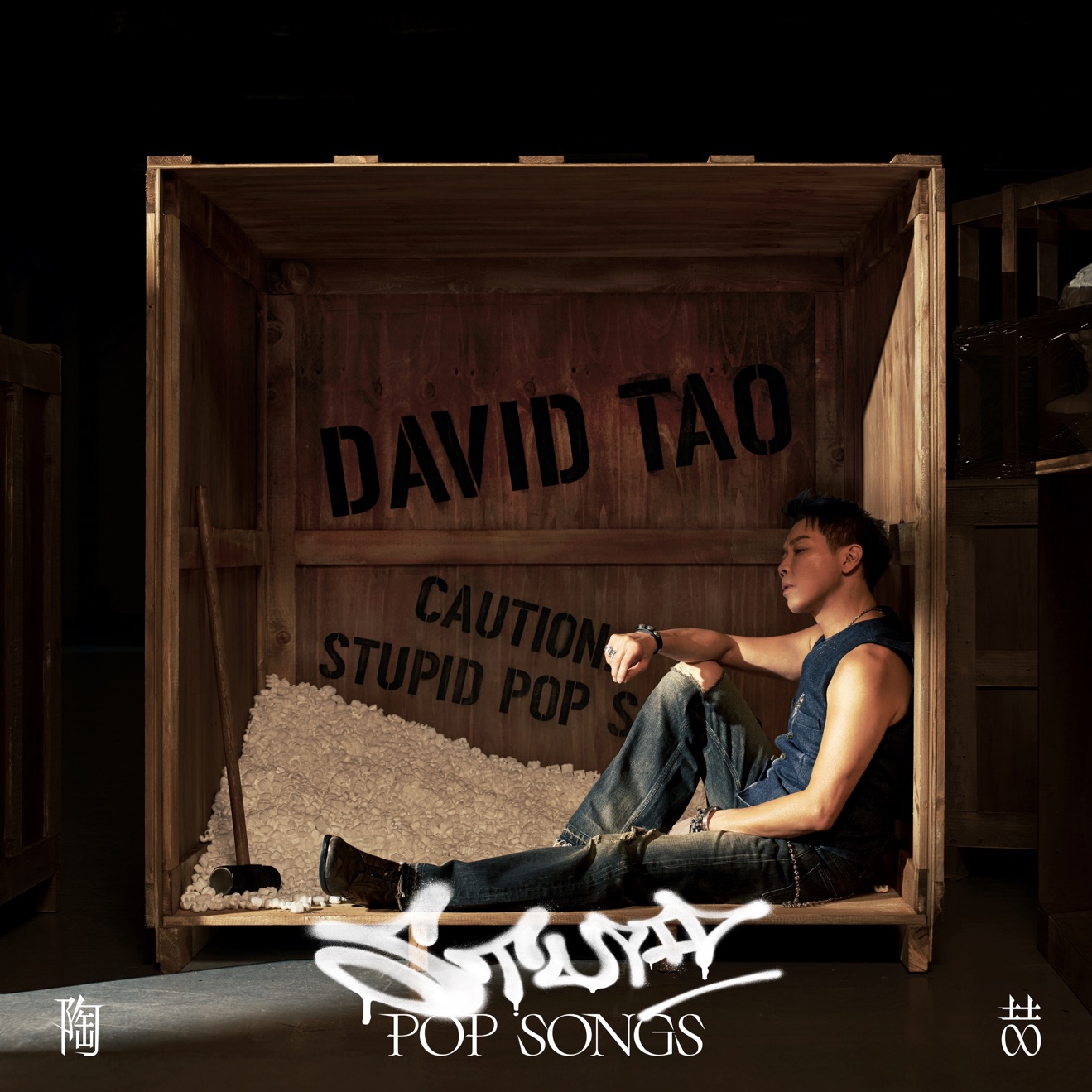 David Tao – Stupid Pop Song – Single (2025) [iTunes Match M4A]