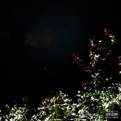 LETS GO TO SPACE!!! - Single