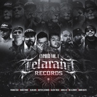 Cypher Telaraña Records Vol. 1 (feat. BlonUno, Franco Suiz, Buffer Leekman, Glenntrece, Abreu H3, Mc Element & AmonBeats) - Single - Wako firme