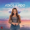 A Dios Le Pido - Single