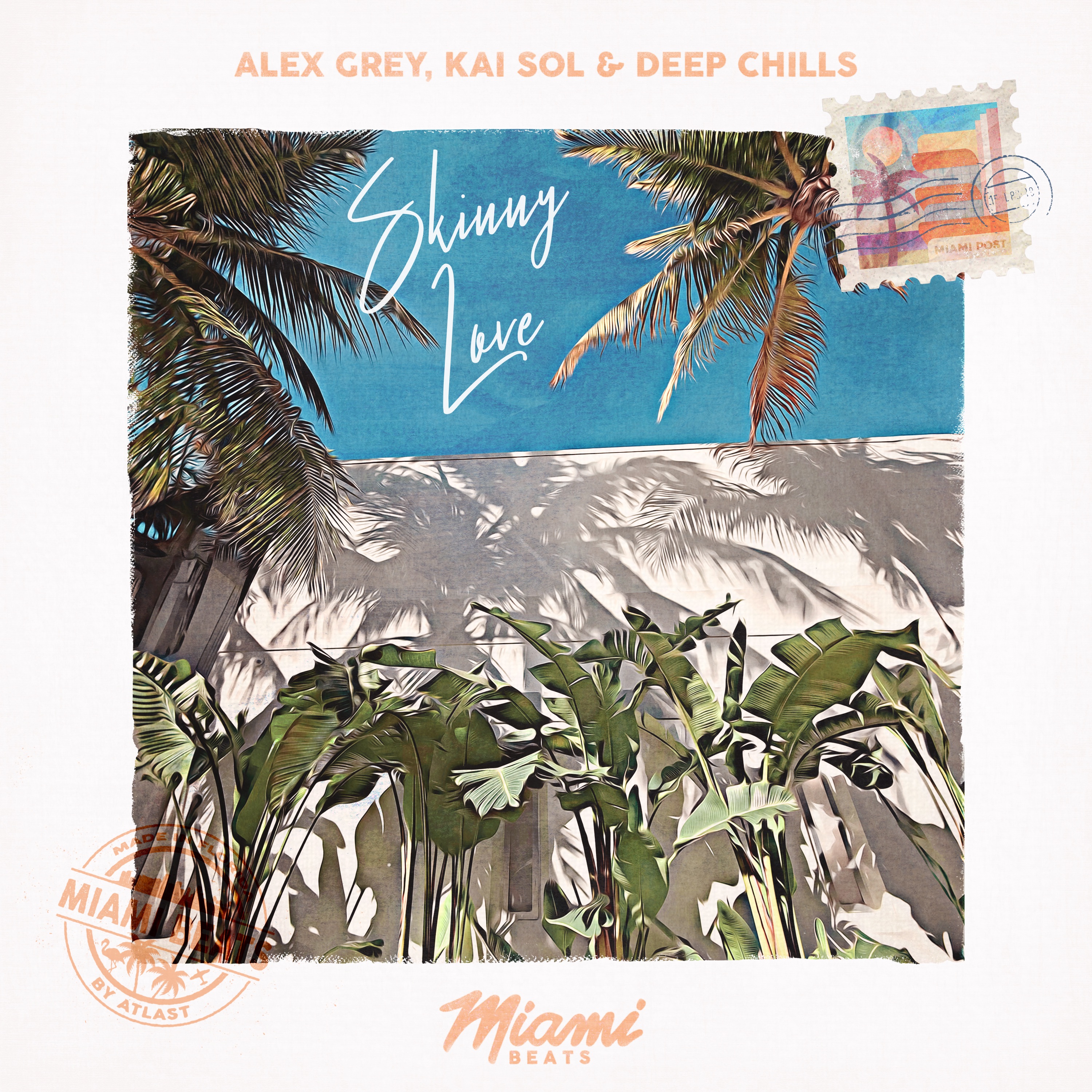 Skinny Love - Single