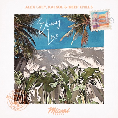 Skinny Love - Single