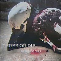 Valley of Crows - Single - 3od