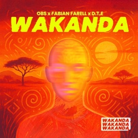 Wakanda OBS, Fabian Farell & D.T.E