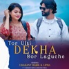 TOR ULTI DEKHA SOR LAGUCHHE - Single